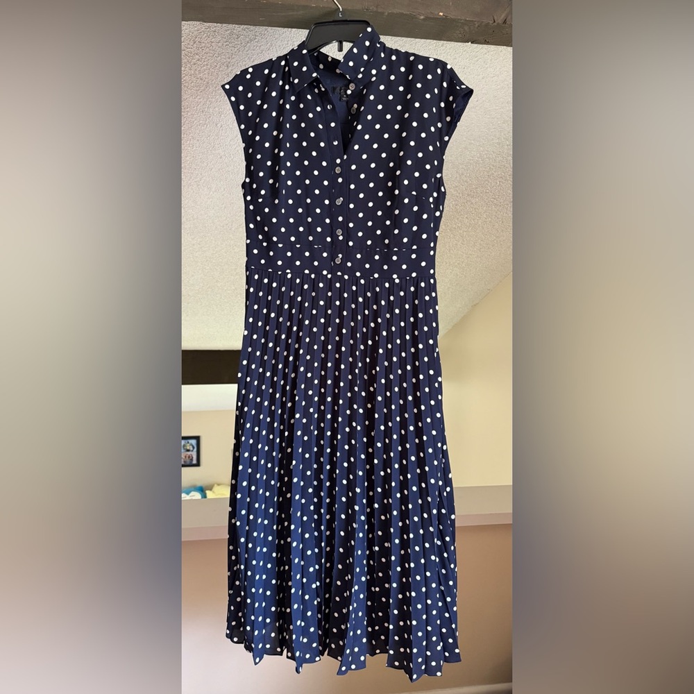 J Crew Navy Polka Pleated Dot Dress